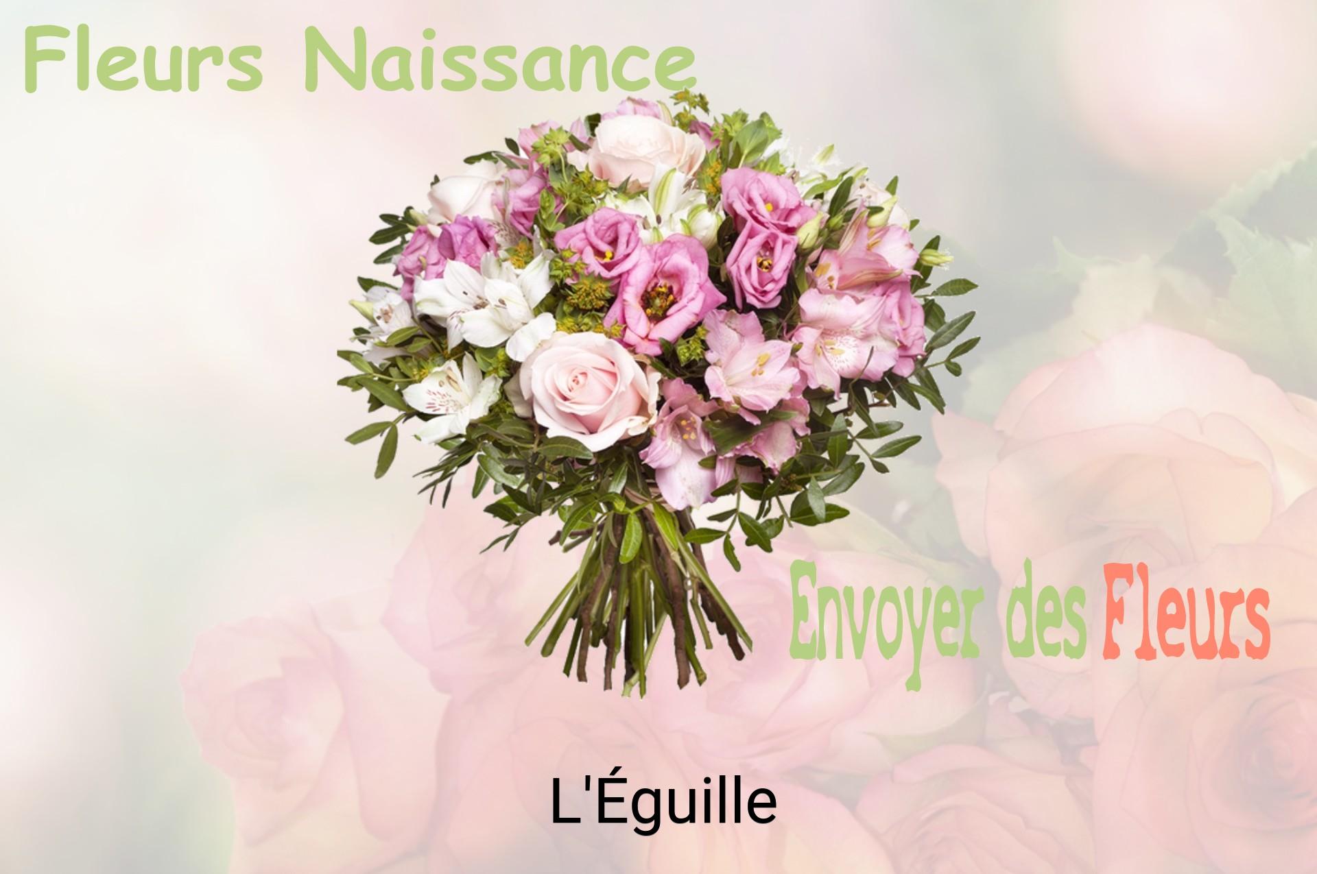Bouquet de fleurs de naissance livré à L'Éguille